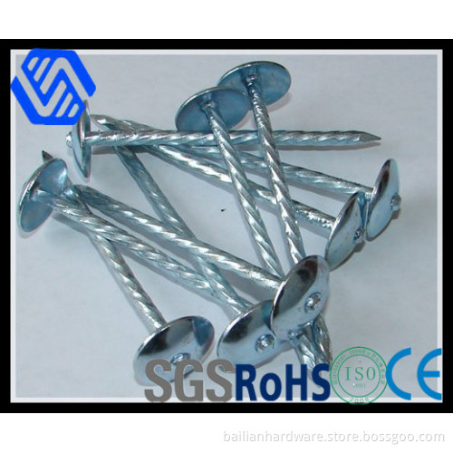 Twisted Shank Umbrella Head Hot-DIP Galvanizing Roofing Nails